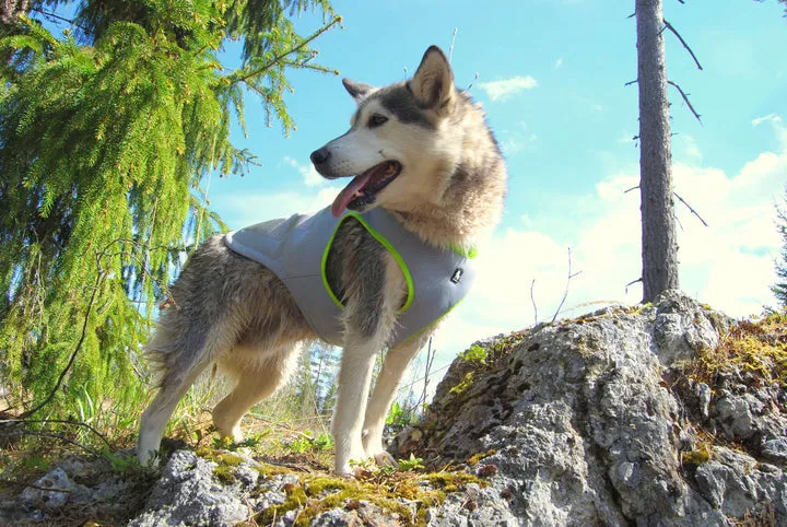 Adjustable Neon Yellow Dog Cooling Vest S, w/ Leash Rings