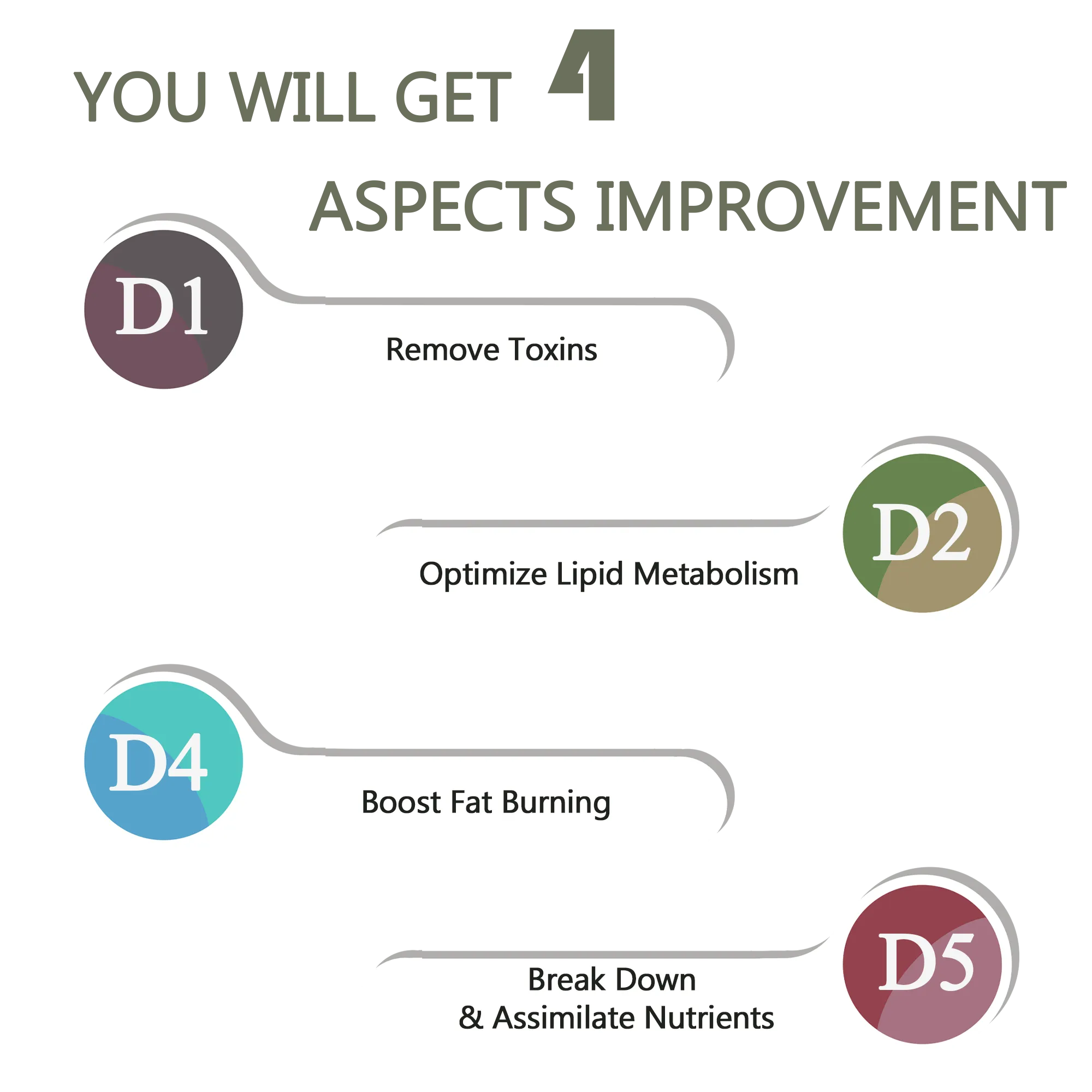 Digestive Conditioning Set