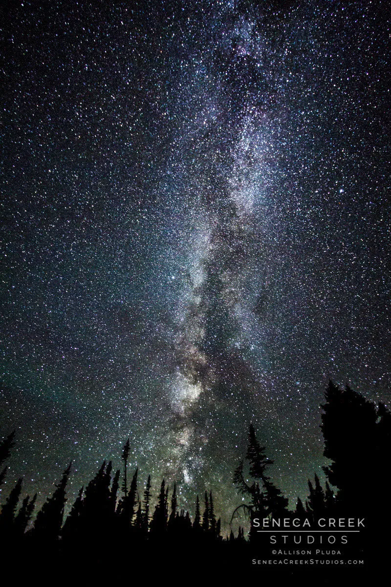 "The arm of the Milky Way on a New Moon in Wyoming" 11x14 Fine Art Metal Print - Scratch and Dent Sale