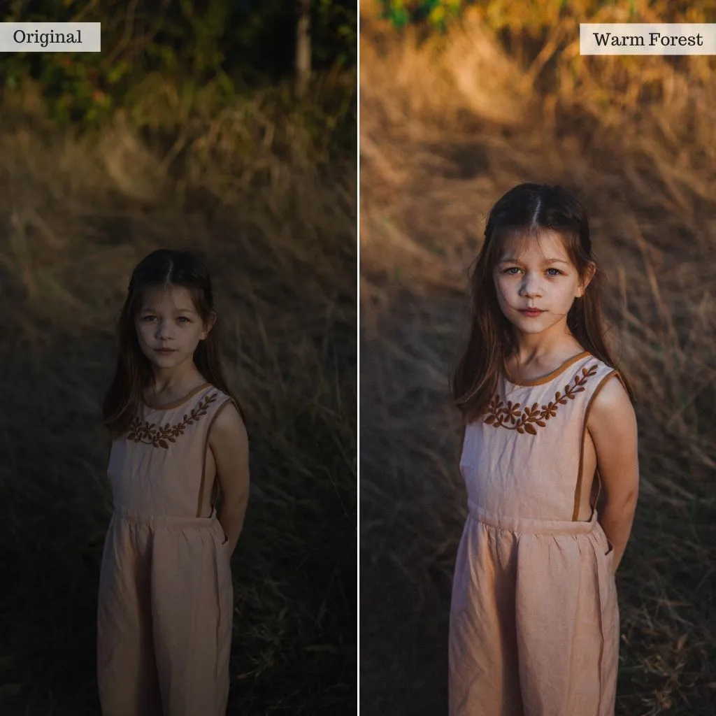 Twilight Meadows Lightroom Presets – Desktop & Mobile